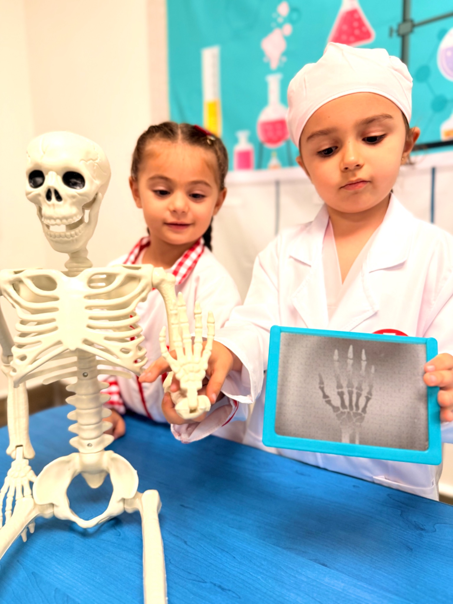Kindergarten students exploring bones and X-rays with a classroom skeleton model